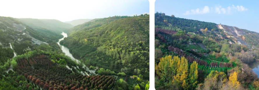 西安壽陽山骨灰墓園地處鯨魚溝中段，依山傍水，地勢高爽