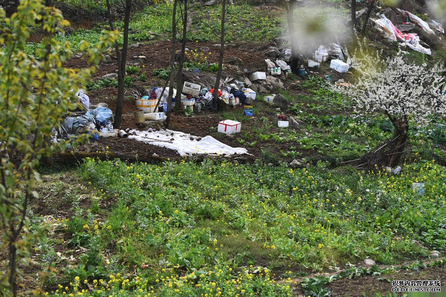 小區后山被私墾成農場 挖平墓地種菜