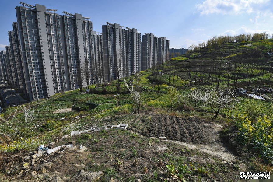 小區后山被私墾成農場 挖平墓地種菜